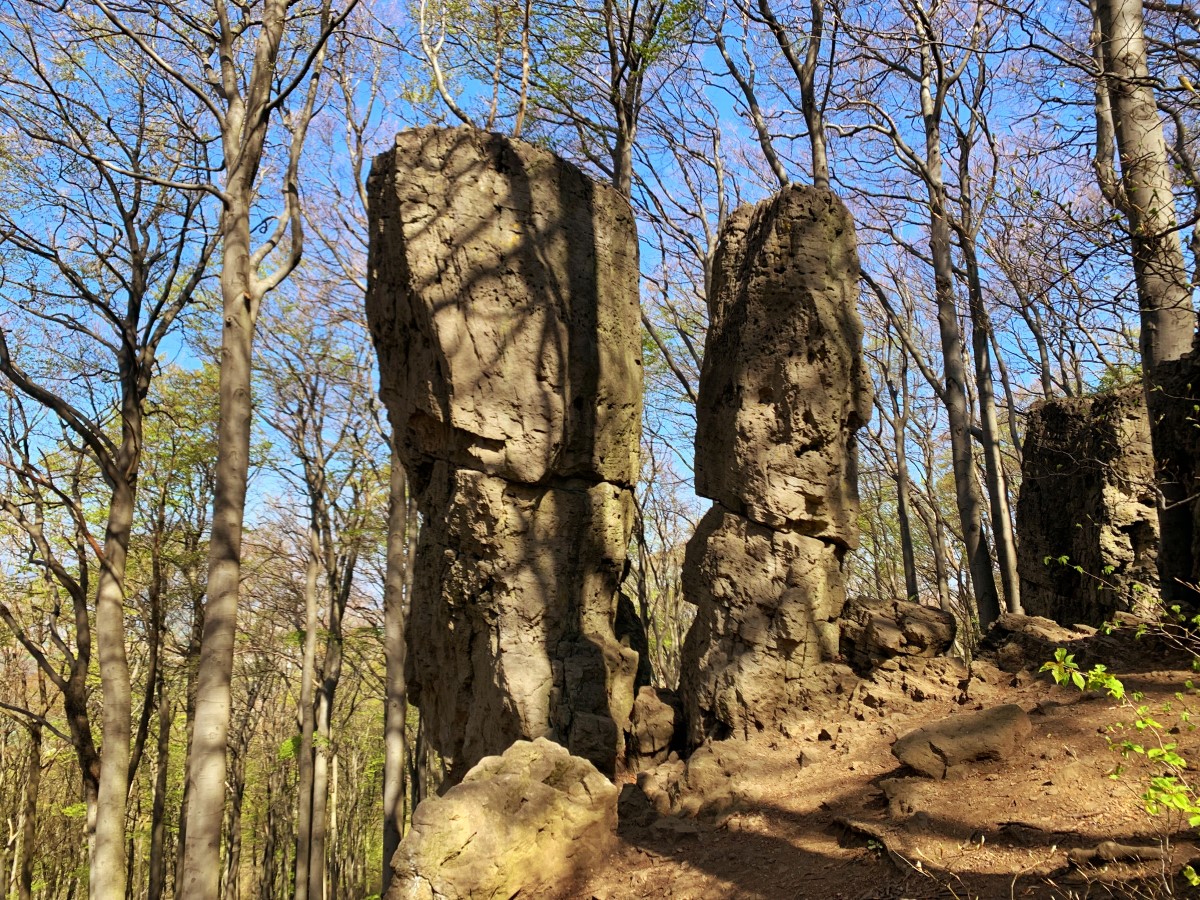 Wandern im Ith ab der Lauensteier Platte