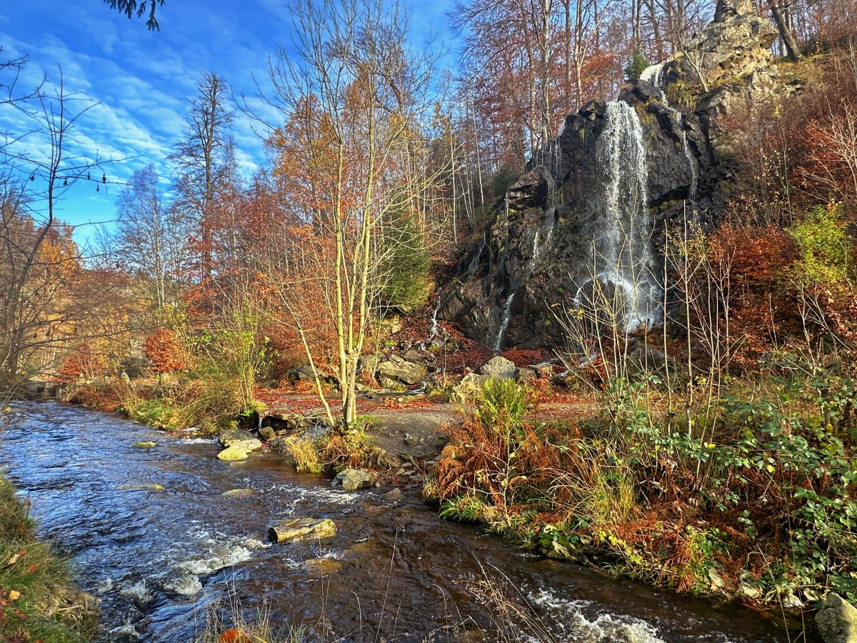 Harzer Wandernadel (Stempel 1, 91) – Der fünfte Wandertag – 18. November 2023