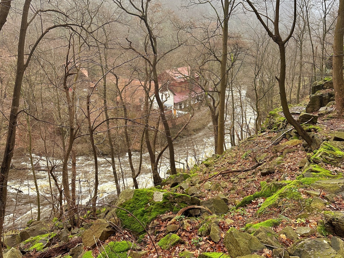 Harzer Wandernadel (Stempel 70, 72, 178) – Der sechste Wandertag – 6. Januar 2024