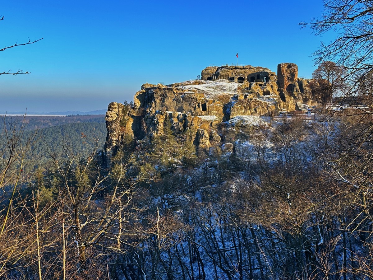 Harzer Wandernadel (Stempel 77, 78, 80, 81, 82) – Der achte Wandertag – 10. Januar 2024