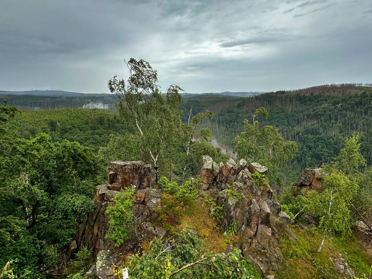 Harzer Wandernadel (Stempel 3, 4, 5) – Der vierundzwanzigste Wandertag – 21. Juni 2024