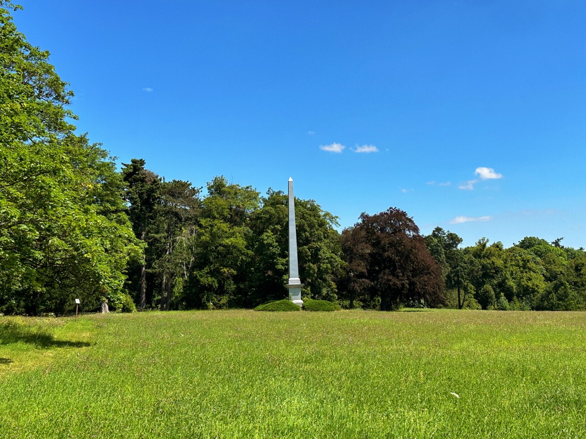 Harzer Wandernadel (Stempel 86, 202, 205) – Der siebenundzwanzigste Wandertag – 22. Juli 2024