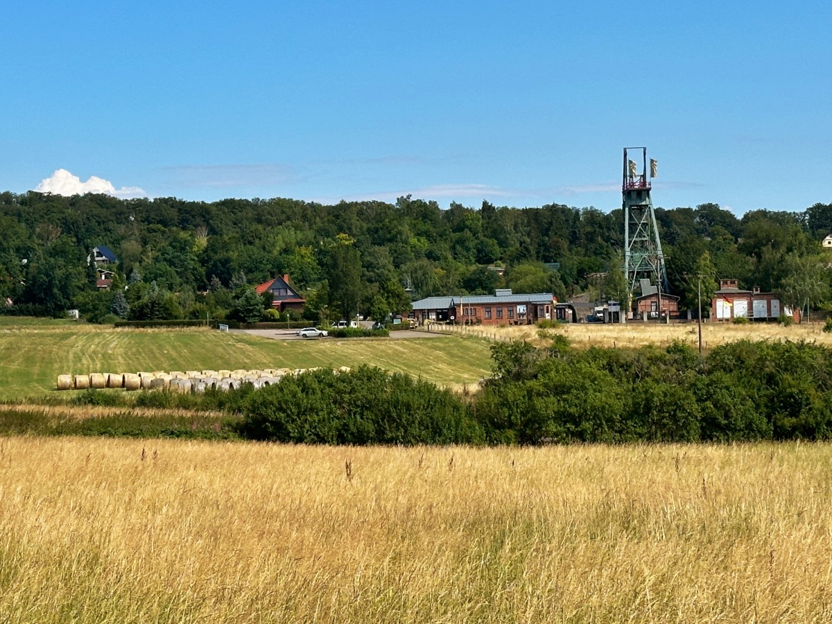 Harzer Wandernadel (Stempel 209, 222) – Der achtundzwanzigste Wandertag – 23. Juli 2024